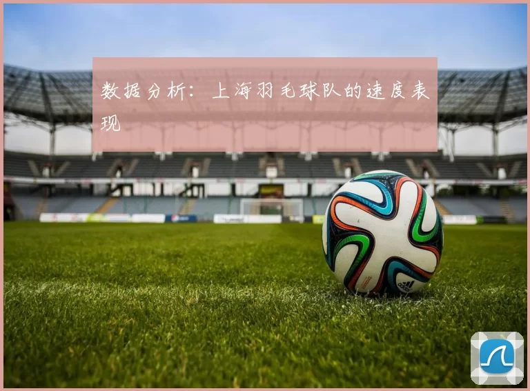 数据分析：上海羽毛球队的速度表现