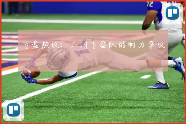 飞盘热议：广州飞盘队的耐力争议