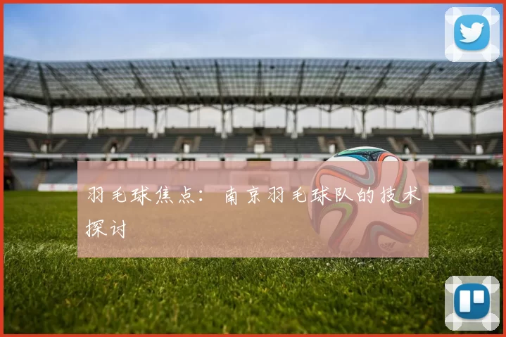 羽毛球焦点：南京羽毛球队的技术探讨