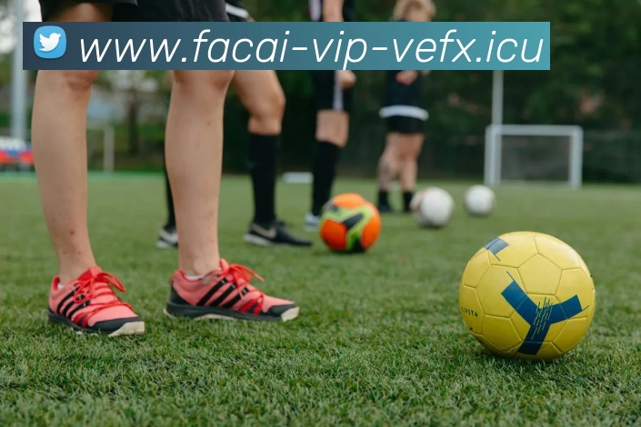 乐鱼体育注册APP 高清赛事图